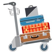 Ship Luggage Within Canada