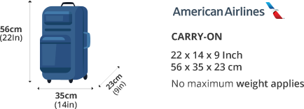 American Airlines Carry On Baggage Allowance and Baggage Fees 2022.  LuggageToShip